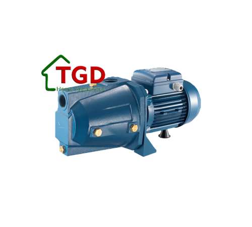 Máy bơm CAMT 100